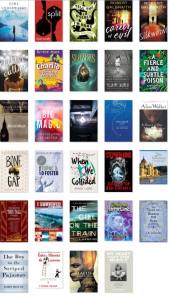 Goodreads Challenge 2016 so far